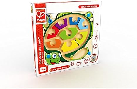 hape turtle