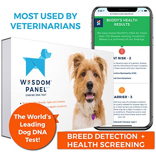 Wisdom Panel Health Canine DNA Test Dog DNA Test Kit for Breed