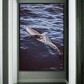 signwin Framed Canvas Wall Art Fish on The...