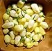 Peruvian White Lightning Habanero Pepper 30 Seeds- HOT