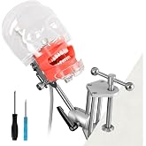 Ultrassist Dental Manikin Head with 32 Typodont Teeth Model | Typodont Mount Fixed on Table, Dental Mannequin Head