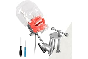 Ultrassist Dental Manikin Head with 32 Typodont Teeth Model, Dental Typodont Mount Fixed on Table, Dental Phantom Head