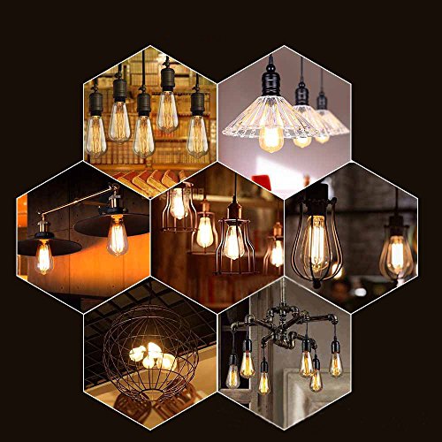 Bravelight Vintage Light Bulbs, Filament Light Bulbs,Edison bulbs ST64 E26 40W Dimmable,Squirrel Cage Filament Edison Lihgt Bulb for Restaurant Home Office Light Fixtures Decorative
