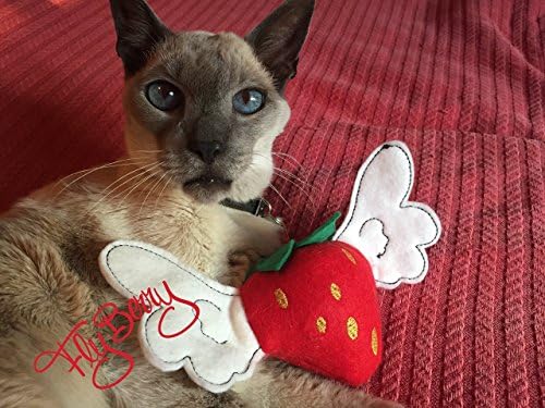 Strawberry Catnip Toy FlyBerryTM