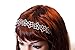 Yeshan Rhinestone and Crystal Beaded Flower Design Plastic Headband, Hairband for girls,Pink and ab white