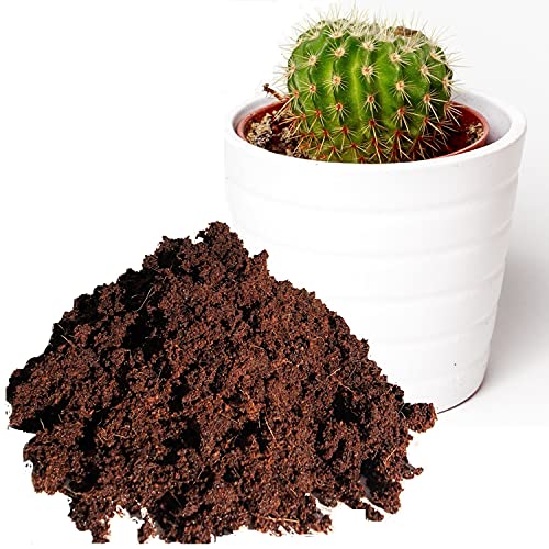 Cactus & Succulent Soil - 1 Litre Cactus Potting Compost - Hydrate at Home