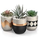 3 inch Small Succulent Pots with Drainage - Set of 3 Concrete Planter Pots for Succulent Plants - Cement Planter Cactus Pots - Use as Succulent Planter, Cactus Pot, Mini Succulent Pots, Cactus Planter