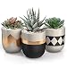 3 inch Small Succulent Pots with Drainage - Set of 3 Concrete Planter Pots for Succulent Plants - Cement Planter Cactus Pots - Use as Succulent Planter, Cactus Pot, Mini Succulent Pots, Cactus Planter