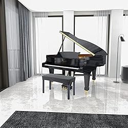 BUYUE Luxury 2-Person Piano Bench