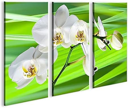 Quadro Moderno Fiori Verdi Di Fiori Stampa Su Tela Quadro X Poltrone Salotto Cucina Mobili Ufficio Casa Fotografica Formato Xxl Amazon It Casa E Cucina