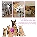 Airsspu Interactive Dog Toy - IQ Treat Ball Food Dispensing Toys for Small Medium Large Dogs Durable Chew Ball - Nontoxic Rubber and Bouncy Dog Ball - Ball Shape Design Cleans Teeth