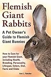Flemish Giant Rabbits, A Pet Owner's Guide to Flemish Giant Bunnies How to Care for your Flemish Gia by