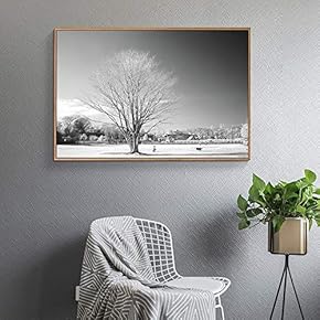 Floating Framed for Living Room Bedroom Black and...