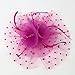 Fascinators Sinamay Hats for Women for Tea Party Kentucky Derby Wedding Cocktail Mesh Feathers Hair Clip Fuschia