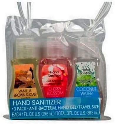3 Pack Travel Size Scented Antibacterial Hand Sanitizers With Carrying Case