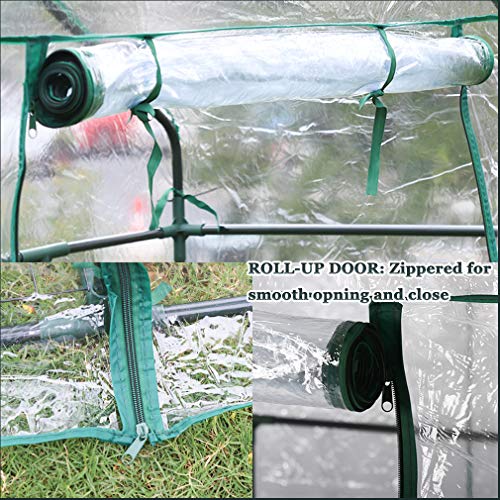 5 BestMassage+Portable+Mini+Outdoor+Greenhouse+Shelves