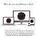 FESHFEN Messy Bun Hair Piece - Elastic Wavy Curly Hair Bun Scrunchies Extensions Synthetic Chignon Hairpieces for Women Girls, Natural Black 1 PCS