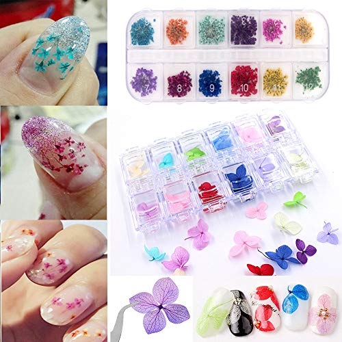 Sealive 3D Nail Art Accessories Kits 12 Colors Natural Real Dried Flowers Nail Art 3 Set, with 50 Pcs Fan-shaped PVC False Nail Art Tips Practice Display, Nail Brush and Nail Stickers Decal Tweezer - Thumbnail 3
