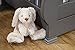 Million Dollar Baby Classic Ashbury 4-in-1 Convertible Crib with Toddler Bed Conversion Kit in Manor Grey, Greenguard Gold Certified