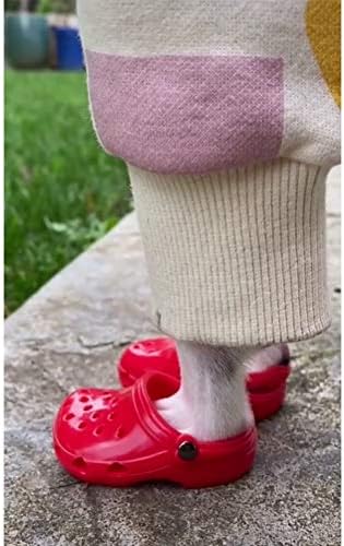 Amazon Com Geharty Dog Crocs Tiktok Dog Crocs Shoes Blue Dog Crocs For Small Dogs Lovely Dog Crocs Shoes For Small Dogs Pet Supplies