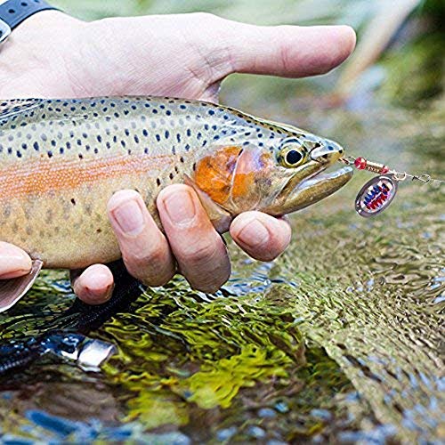 Ewolee Leurres De Pêche Kit, 30 Pcs Cuillere Peche Truite Kit, Appât Dur, Paillettes Tournantes, Paillettes En Forme De Cuillère, Kit Dappâts De Pêche Portable Avec Boîte