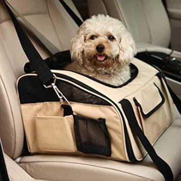 dog high chair amazon