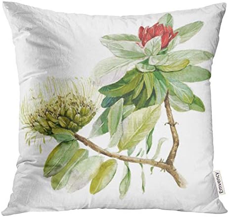 Cupsbags Throw Pillow Cover Colorful Exotic Protea Flower Sugarbushes Hand Drawn Watercolor Botanical Green Australia Beautiful Decorative Pillow Case Home Decor Square 18x18 Inches Pillowcase