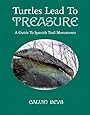 Turtles Lead to Treasure: A Guide to Spanish Trail Monuments