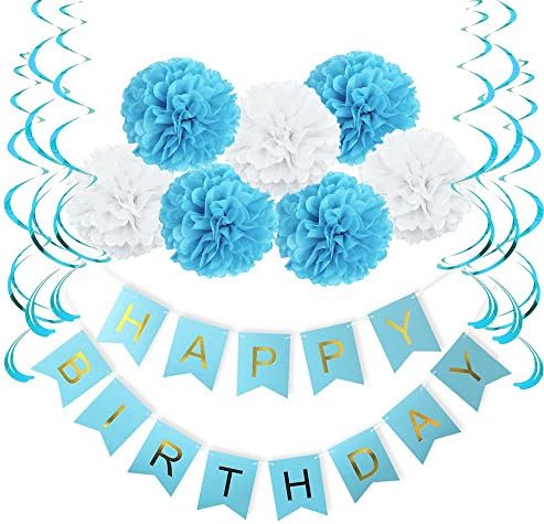 Festivous Wishel Happy Birthday Banner Tissue Paper Pom Poms Flower Foil Whirls for Birthday Party Decorations (Blue)