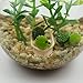 OMEM Multi Color Aquarium Set Moss Ball Terrarium Gravel Doll Boat Workbench Decoration Turtles