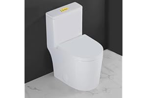 WinZo WZ5089WG Compact One Piece Toilet 23" Depth,Dual Flush Golden Button For Small Modern Bathroom 12" Rough-in White