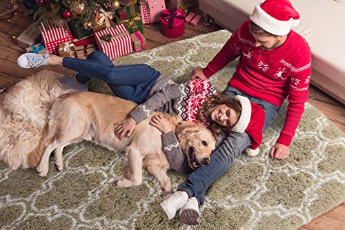 LOCHAS-Luxury-Velvet-Shag-Area-Rug-Mordern-Indoor-Plush-Fluffy-Rugs-Extra-Soft-and-Comfy-Carpet-Geometric-Moroccan-Rugs-for-Bedroom-Living-Room-Girls-Kids-5x8-Feet-BeigeWhite-HS3