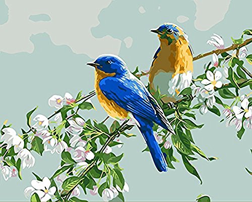 Bird Paint by Number Kits | Kritters in the Mailbox | Bird Paint by Number