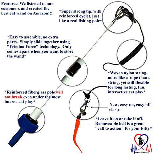 Pet Fit For Life 5 Piece Worms Teaser and Exerciser for Cat and Kitten - Cat Toy Interactive Cat Wan - //medicalbooks.filipinodoctors.org