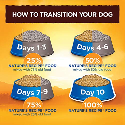 Nature's Recipe Senior Dry Dog Food, Lamb Meal & Rice Recipe, 4.5
