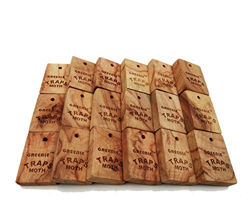 Moth Repellent Natural Fresh Camphorwood Root Cube household Storage Essentials Aromatic Non-toxic Repel Pests Value Pack Moth Protection for Clothes Closet and Drawer System Accessories 18 Items