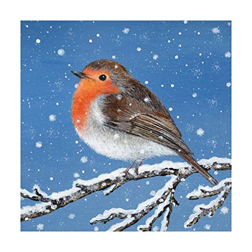 Museums And Galleries Pack of 8 Artistic Robin in the Snow On A Branch Christmas Cards by Lucy Grossmith from the Xmas Fayre Range