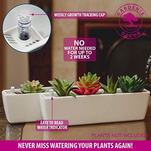 11" Plant pots selfwatering succulent pots easy succulent planters