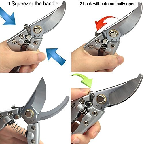 GWCLEO Gartenschere, SK-5 Edelstahl Astschere mit Sicherheitsverschluss,Profi Hande Beschneiden Scheren,Griff aus Weichen Gummi zum Schneiden Büsche,Obst Baum,Sammeln Fruits und Gartenarbeit – Bild 5