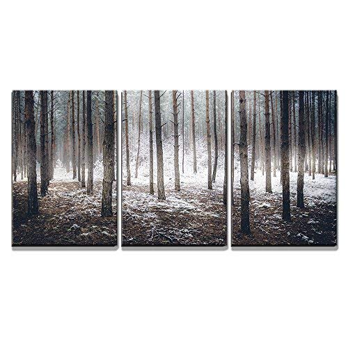 Landscape of Spooky Winter Forest Covered by Mist Home Art x3 Panels