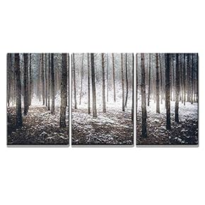 3 Piece Canvas Wall Art - Landscape of Spooky Winter Forest Covered by Mist - Modern Home Art Stretched and Framed Ready to Hang - 16"x24"x3 Panels