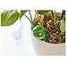 Giveme5 Pack of 3 Aqua Globes Small Plant Flower Automatic Self Watering PVC Bulbs Ball Garden Waterer Device Set (Transparent)