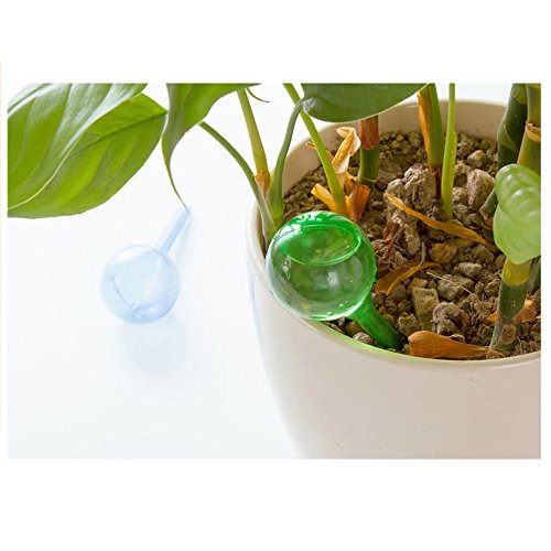 Giveme5 Pack of 3 Aqua Globes Small Plant Flower Automatic Self Watering PVC Bulbs Ball Garden Waterer Device Set (Transparent)