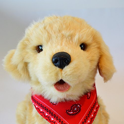 Joy for All Robotic Sitting Golden Dog - Stuffed Animal Therapy for People with Memory Loss from Aging and Caregivers