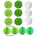 Recosis Hanging Paper Fan Set, Tissue Paper Pom Poms Flower Fan and Honeycomb Balls for Birthday Baby Shower Wedding Festival Decorations - Green