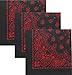 Black & Red Trainmen Paisley Jumbo Bandana (27