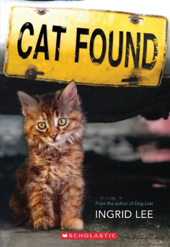 Cat Found