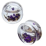 BodyJ4You Floating Purple Stars Saddle Plugs 2G-20mm (2 Pieces)