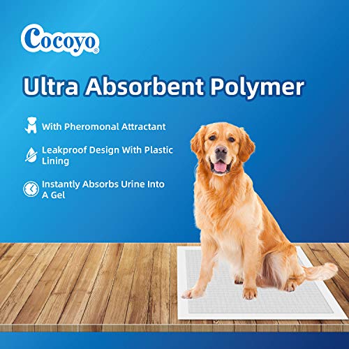 COCOYO Best Value Training Pads, 22" by 22", 100Count Pricepulse