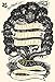 A Treasury of British Folklore: Maypoles, Mandrakes & Mistletoe by Dee Dee Chainey